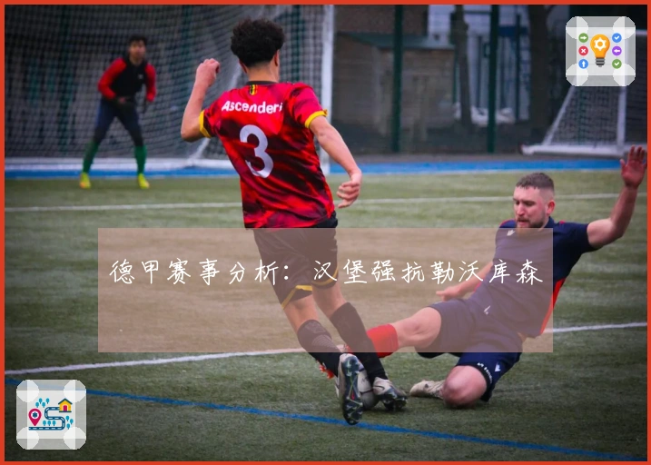 德甲赛事分析：汉堡强抗勒沃库森
