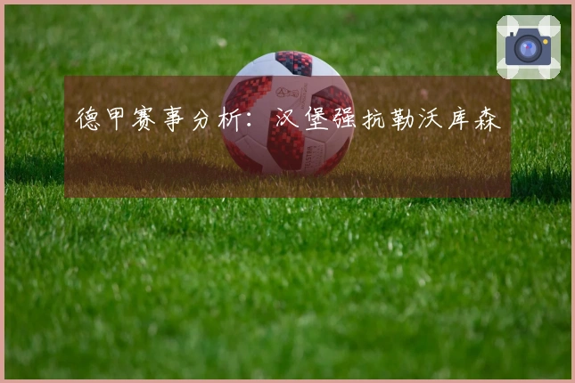 德甲赛事分析：汉堡强抗勒沃库森