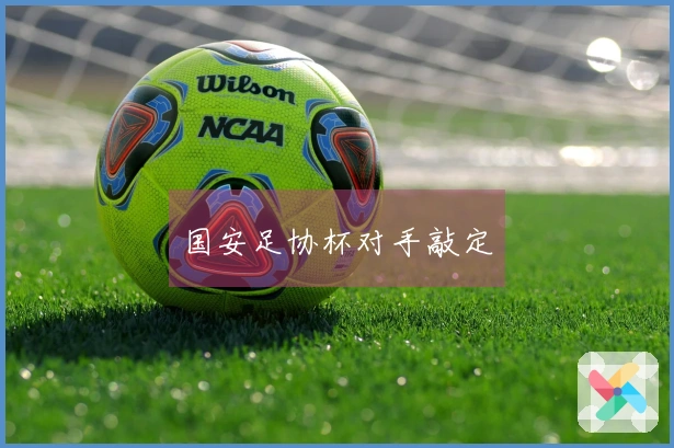 国安足协杯对手敲定